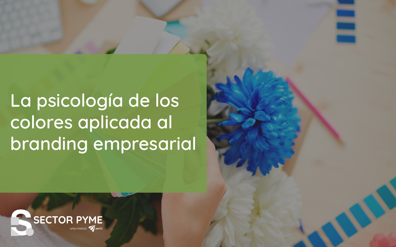 La psicología de los colores aplicada al branding empresarial